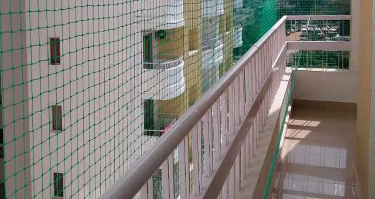 Pigeon Safety Nets in JP Nagar
