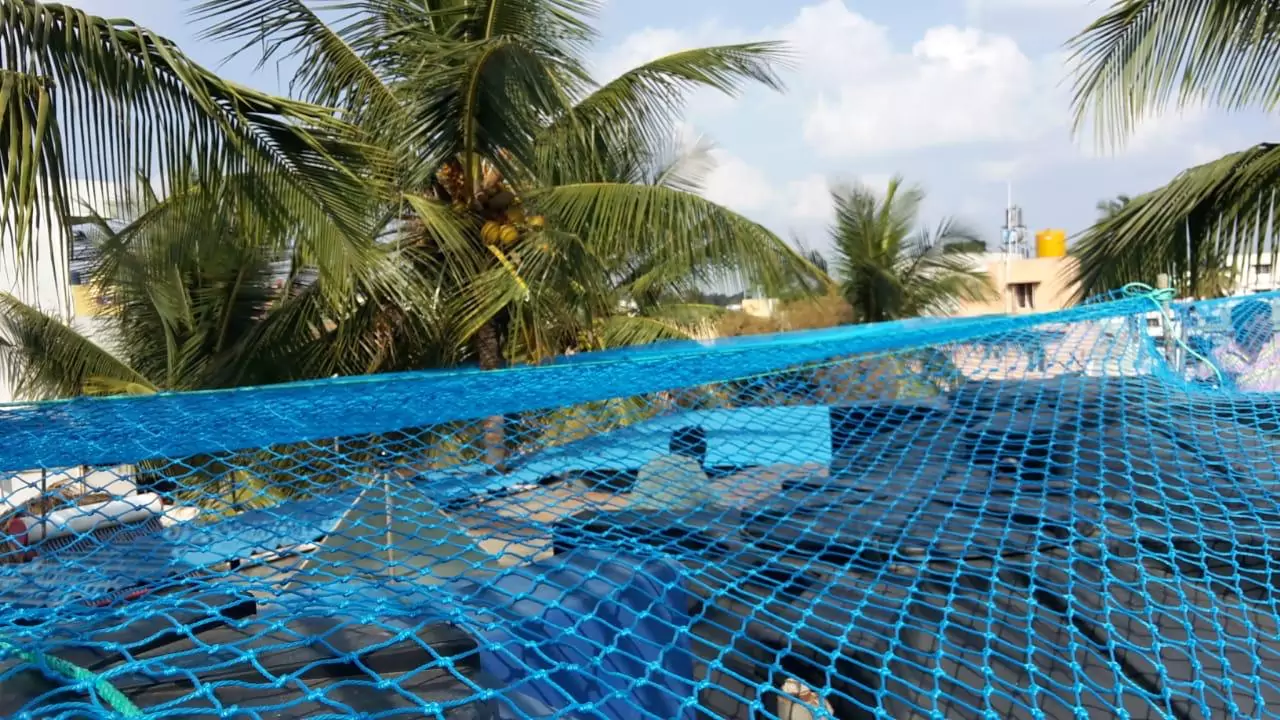 Coconut tree Safety Nets in Bangalore