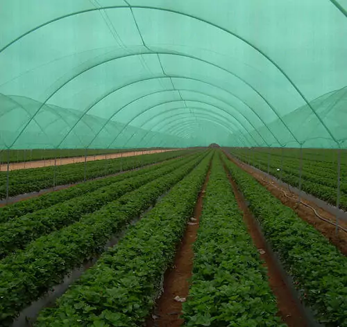 Shade Nets in Bangalore