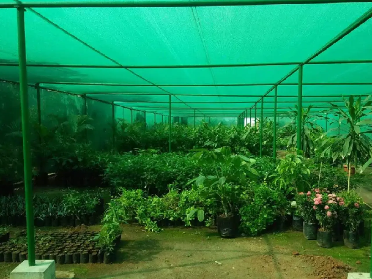 Shade Nets in Bangalore